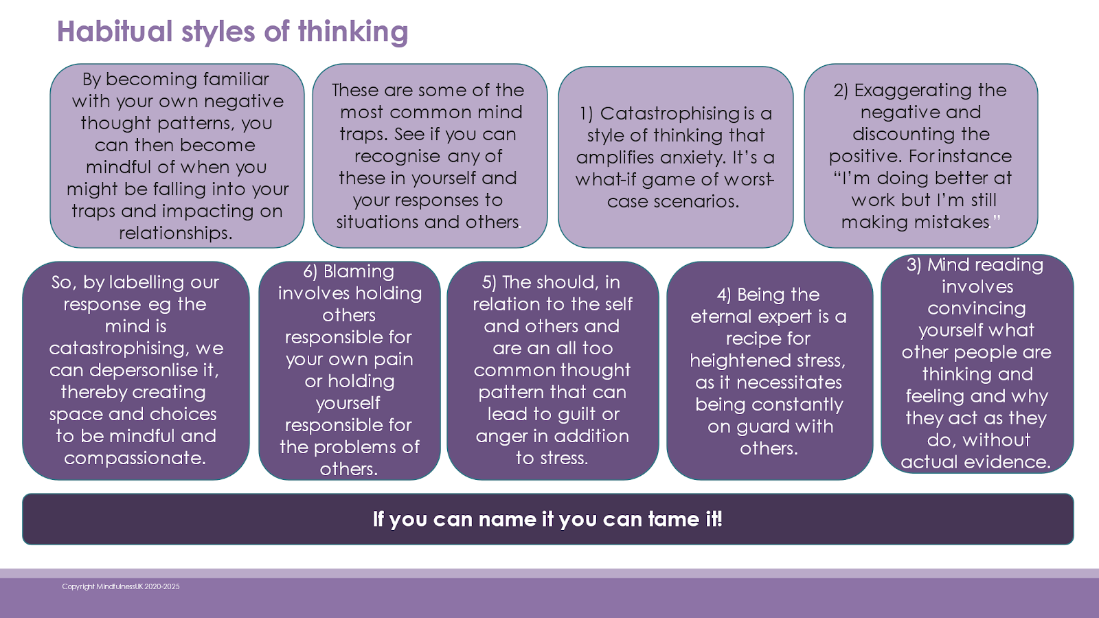 habitual styles of thinking